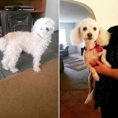 Before and after of Halo :)