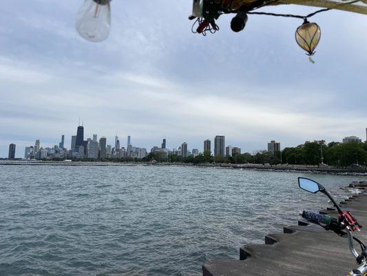 Save Ferris Chicago Pedicab Tours and Adventures