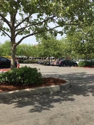 SACRT Light Rail - Mather Field/Mills Station