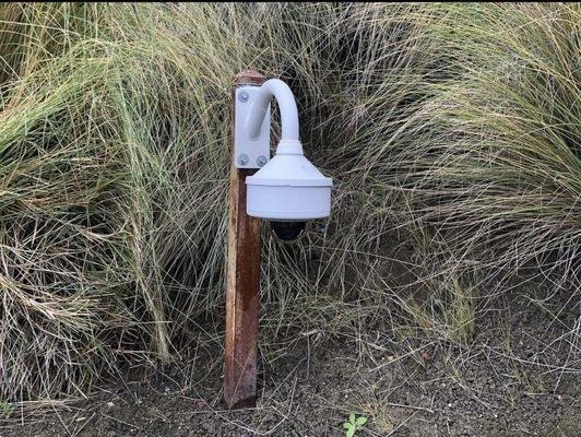 Intelligent Surveillance Systems