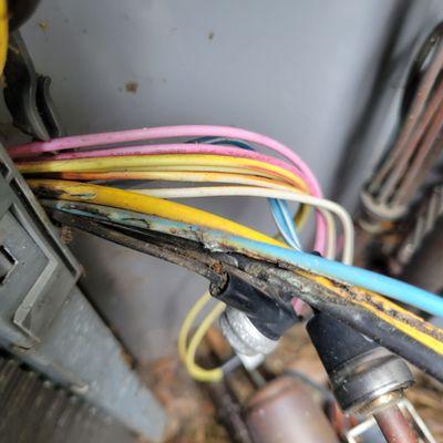 Shawn found a wire that burt out. He will have a return trip.