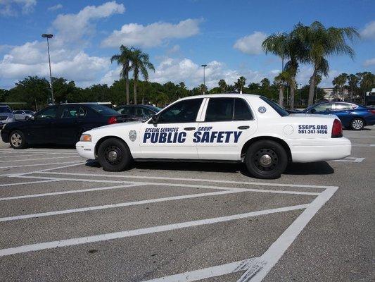 Special Services Group Public Safety