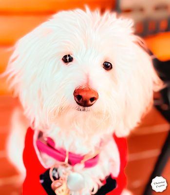 Your going to throw the ball, "right!" I'm waiting, let's GO!