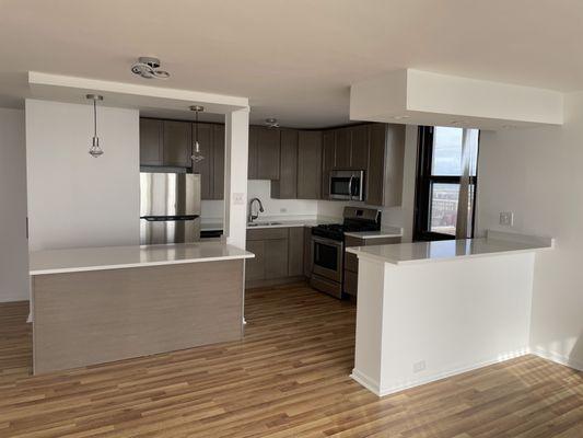 Chicago Painting Specialist