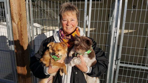 Dwire's Country Kennel