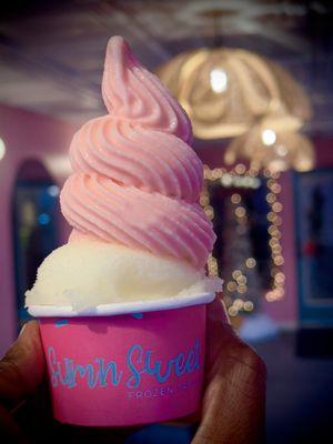 Sum N Sweet Frozen Treats