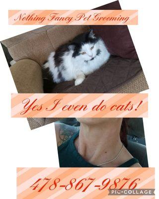 Nothing Fancy Pet Grooming