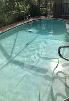 One Ocean Pool Service