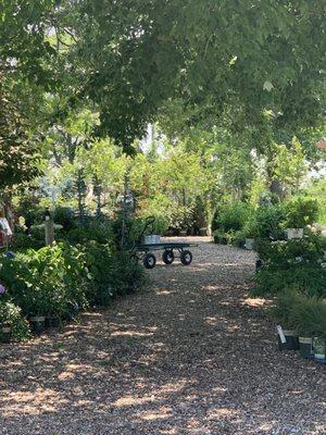 Clinton Parkway Nursery & Garden Store