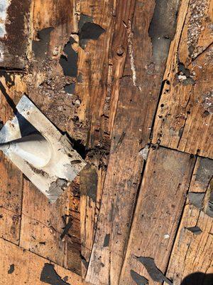 Damage plywood. Caused by a leaking swamp cooler. It all got taken care of once we got done.