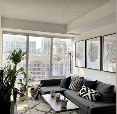 Shark Cleaning Services