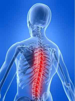 Wright County Chiropractic