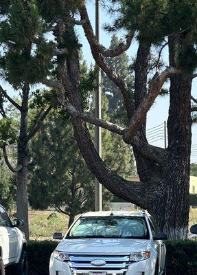 Jasper's Auto Service