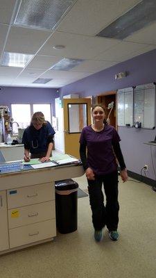 Black Dog Veterinary Services