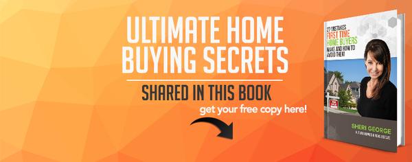 Sheri George - Realty One Group