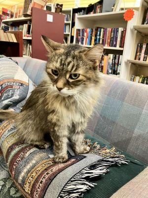 The Book Center