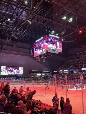 Grand Rapids Griffins