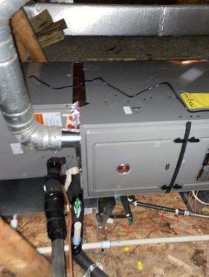 Comfort Air Specialist