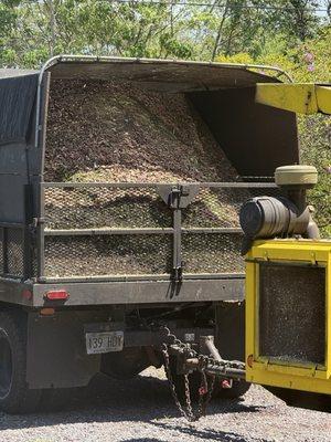 All chipped down and hauled away.