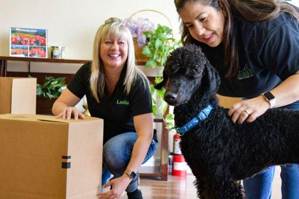 Lariat Builders Group