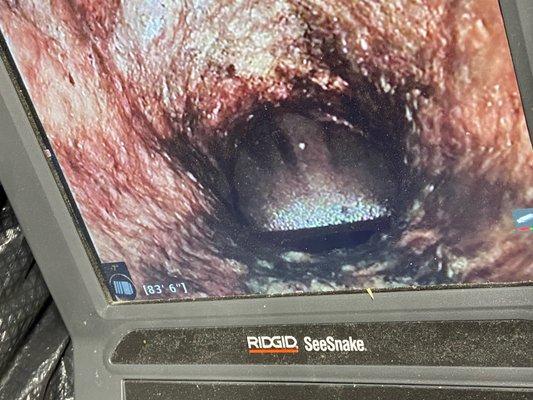 Camera's entry point of our sewage line.