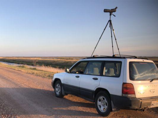 1999 Subaru Forester