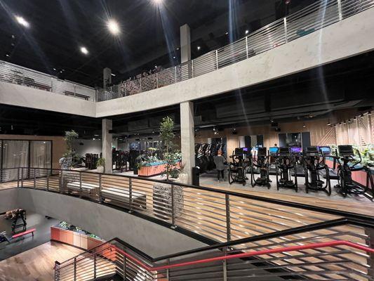 Cardio and arms machines on the middle level