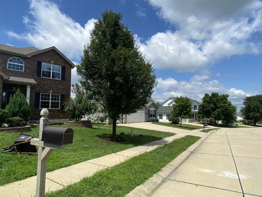 Great Gardens Landscaping And More