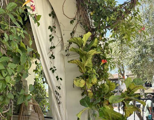 Cajé Coffee Roasters