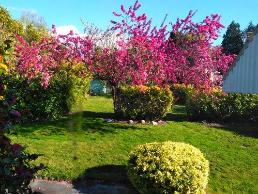 NJ Landscaping & Construction