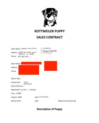 Shayna Piccirello Rottweilers bogus "Puppy Contract"