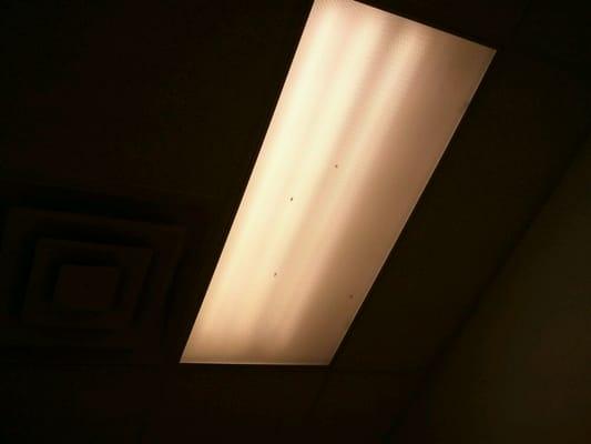 Yes these are.bugs in the light covers.