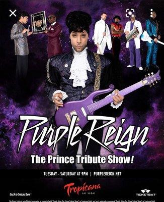 Purple Reign - THE Prince Tribute Show