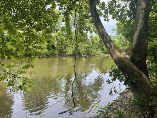 Buttermilk Trail