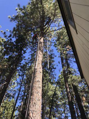 Good View Tree Service