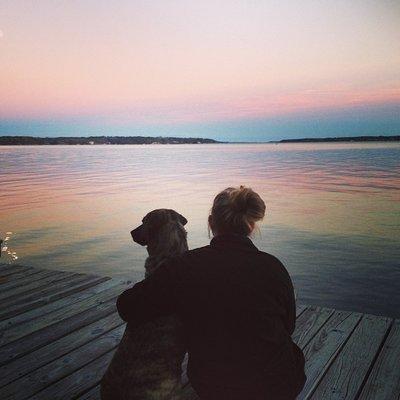 Very Important Pets Professional Petsitting