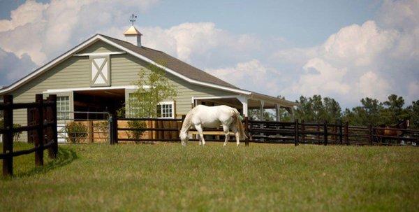 Lori Ross - Equestrian Real Estate