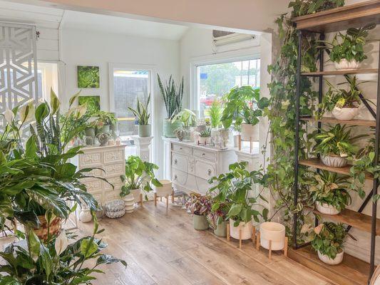 William's Florist & Gift House, Inc.