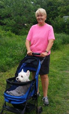 And Toto 2 Professional Pet Service