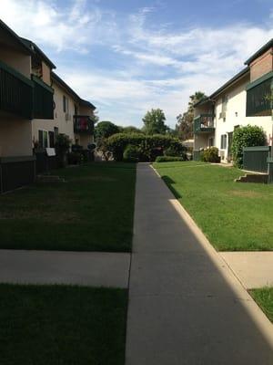 Beautiful and clean :)