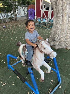 Bouncy horse in the back