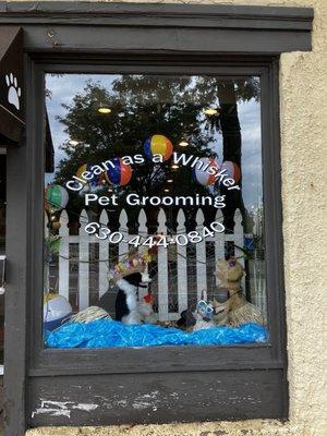 Clean As a Whisker Pet Grooming Salon