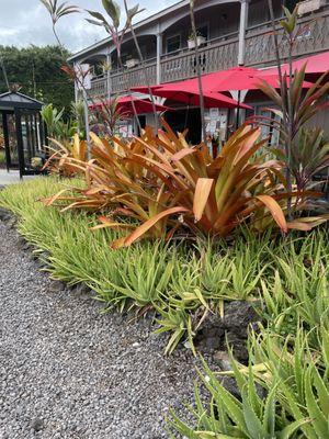 The front coming from the south. Blink you might miss it!