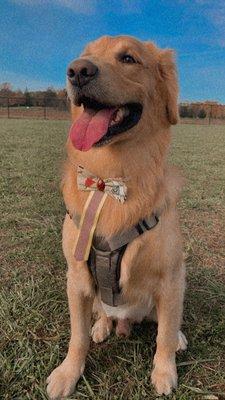 Wolfhill Recreation Area