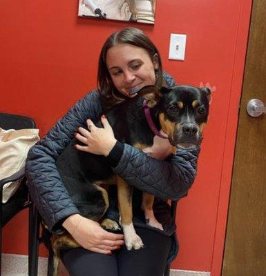 Boston Animal Hospital