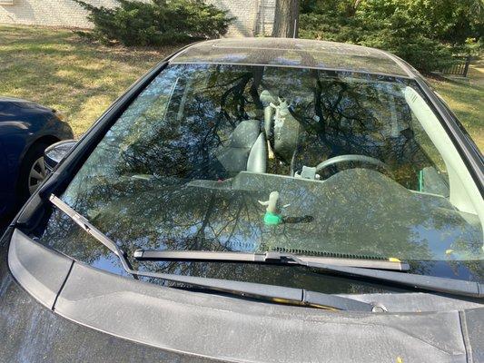 So shiny and new !!!