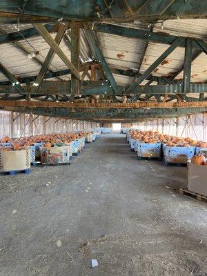 California Farm Life