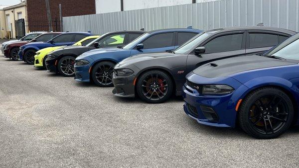 All kind of sports cars