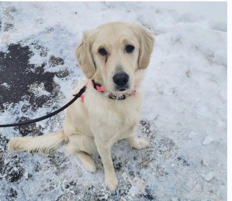 Stella - check our her bio!!