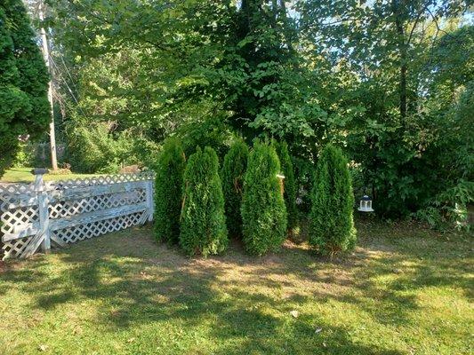 Buffalo Landscape Solutions and Home Services